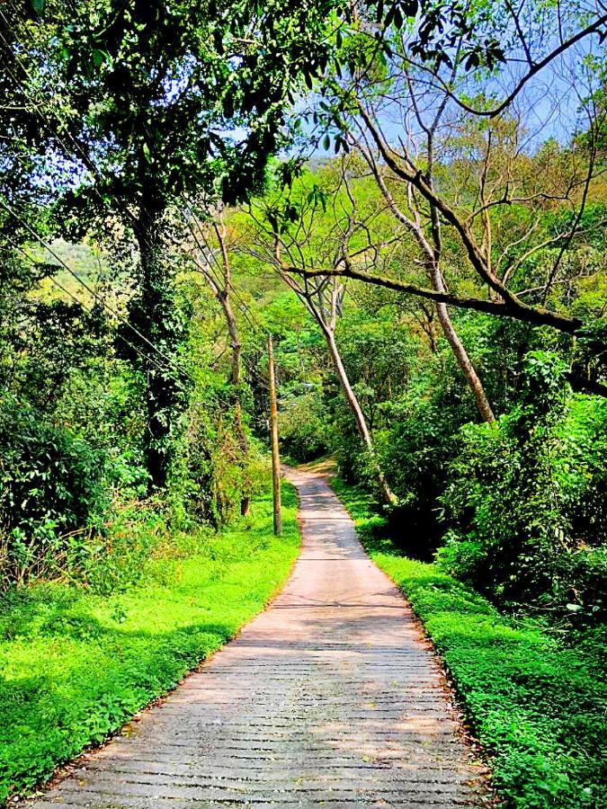 Studios Altos Da Igrejinha Florianópolis المظهر الخارجي الصورة
